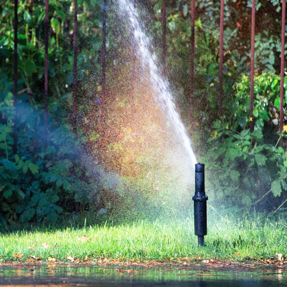 Arrosage automatique Arrosage automatique